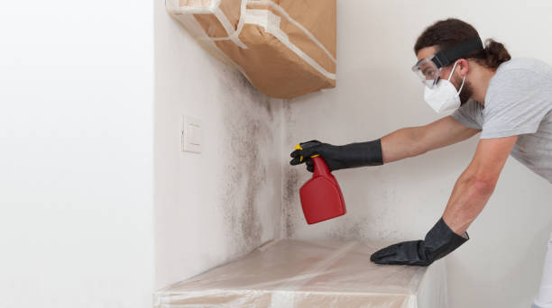 Professional Mold Removal technician working in Caldwell, TX