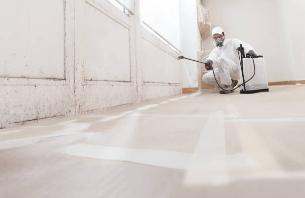 24/7 Emergency Mold Removal experts in Caldwell, TX