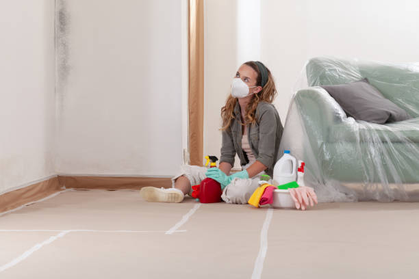 Reliable Mold Removal contractor in Caldwell, TX by Mold Remediation HQ